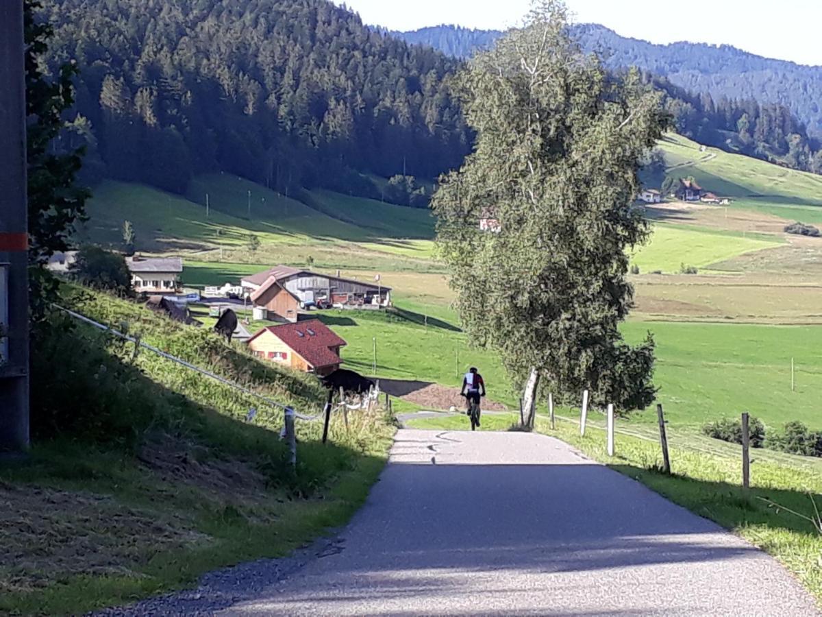 Gaestezimmer Im Dorfzentrum Rothenthurm 외부 사진